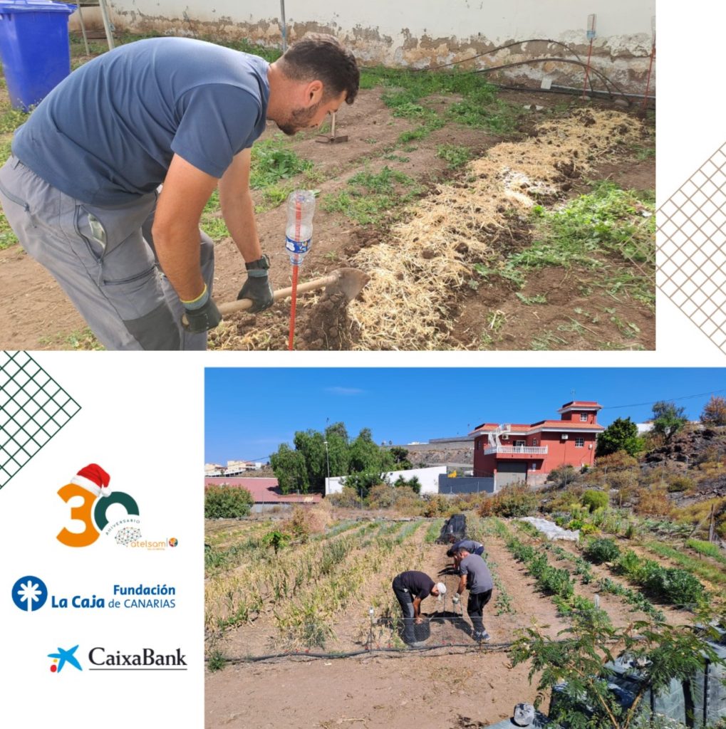 Una de las acciones a desarrollar en el 'Proyecto Isora' es la de acompañamiento e instrucción en las actividades de la agricultura ecológica