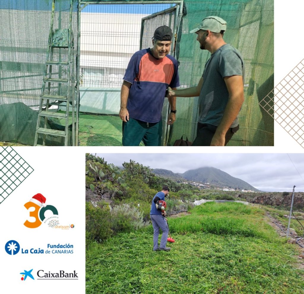 Una de las acciones a desarrollar en el 'Proyecto Isora' es la de acompañamiento e instrucción en las actividades propias de la agricultura ecológica